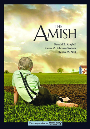 cover of the amish